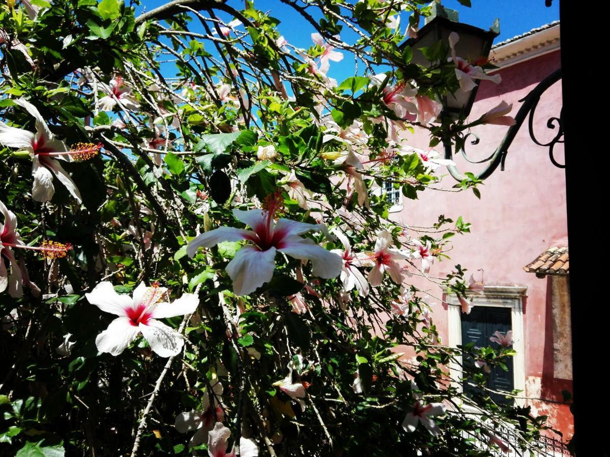Appartement Venetian Well Cozy Corfu Old Town *